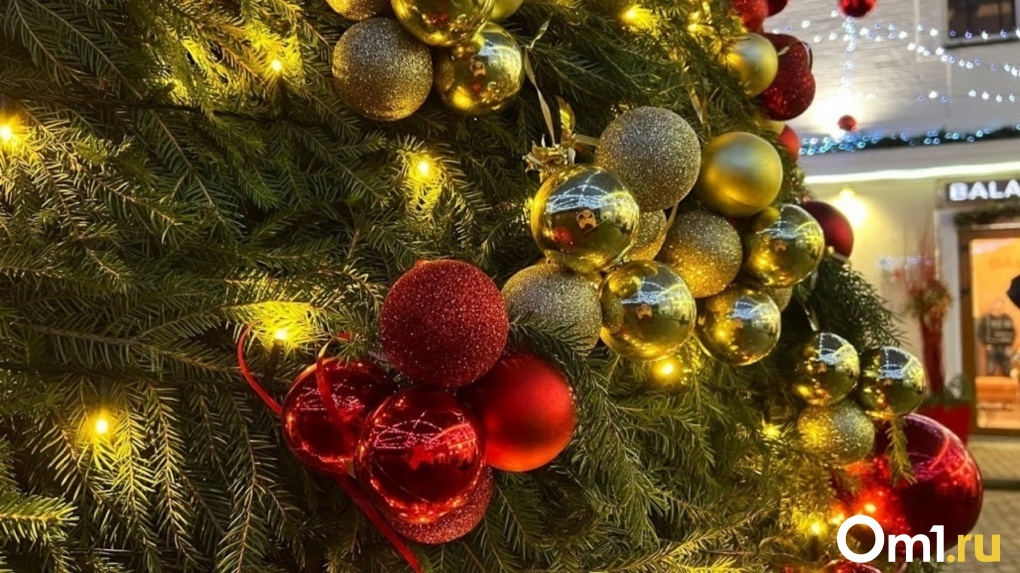 Омский «Гринч»: в области мужчина лишил семью праздника, украв новогоднюю ёлку