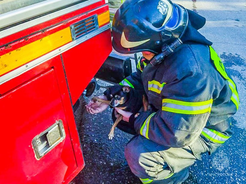 Изображение фоторепортажа