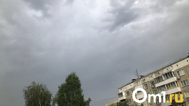 В Новосибирск на выходных придут жара и грозы
