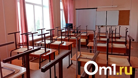 Две новые школы за 1,5 млрд рублей планируют построить в Новосибирской области