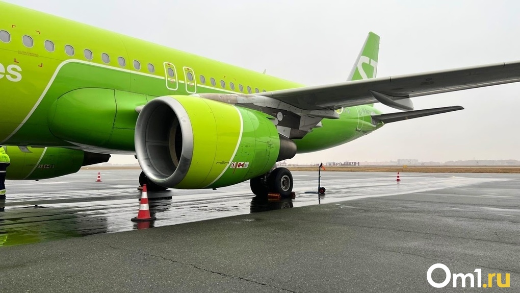 Из-за сорванных отпусков директора турфирмы «Ворлд Тревел» отправили под домашний арест в Новосибирске