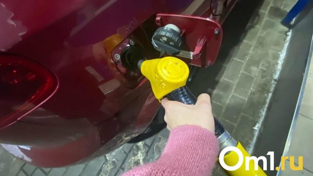 В Омске подскочили цены на бензин, дизель и газ