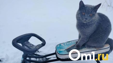 Омскую область завалит снегом в начале марта