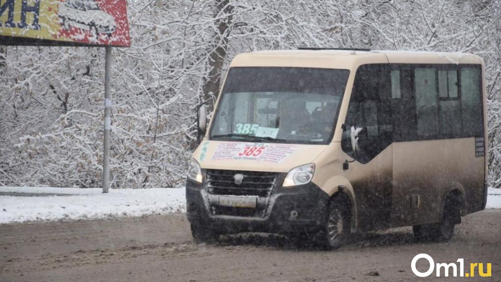 В Омске водитель вытолкнул подростка из маршрутки из-за оплаты проезда телефоном