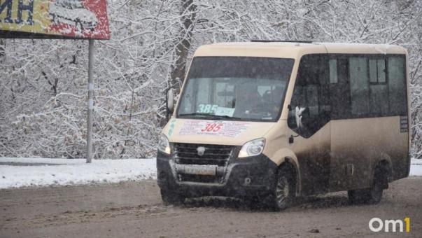 В Омске водитель вытолкнул подростка из маршрутки из-за оплаты проезда телефоном