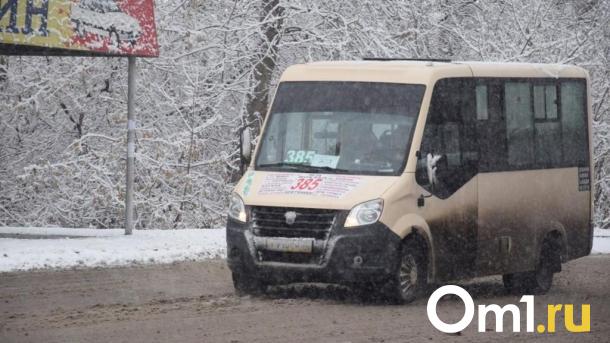 В Омске водитель вытолкнул подростка из маршрутки из-за оплаты проезда телефоном