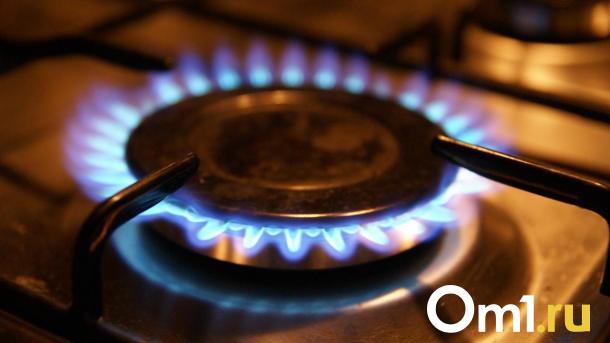 Обанкротившийся «Омскгоргаз» перейдёт в собственность Омской области
