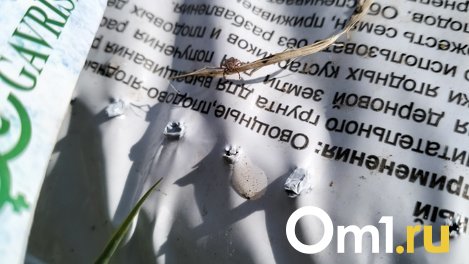 В Роспотребнадзоре назвали районы Новосибирской области, где на людей чаще нападают клещи