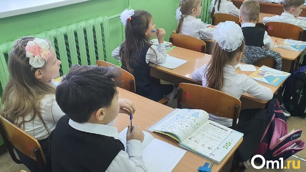 Снова удалёнка? Новосибирские школьники перешли на дистант с 31 января