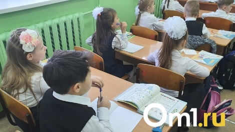 Снова удалёнка? Новосибирские школьники перешли на дистант с 31 января