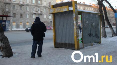 Ребенок стоял на остановке 1,5 часа. Жители омских окраин снова жалуются на работу транспорта