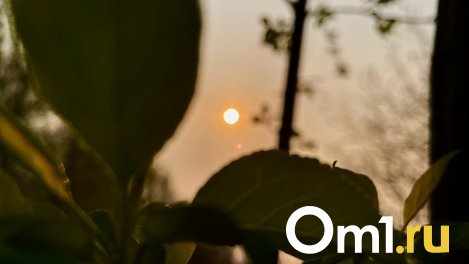 День летнего солнцестояния в Новосибирске начнётся вечером 21 июня