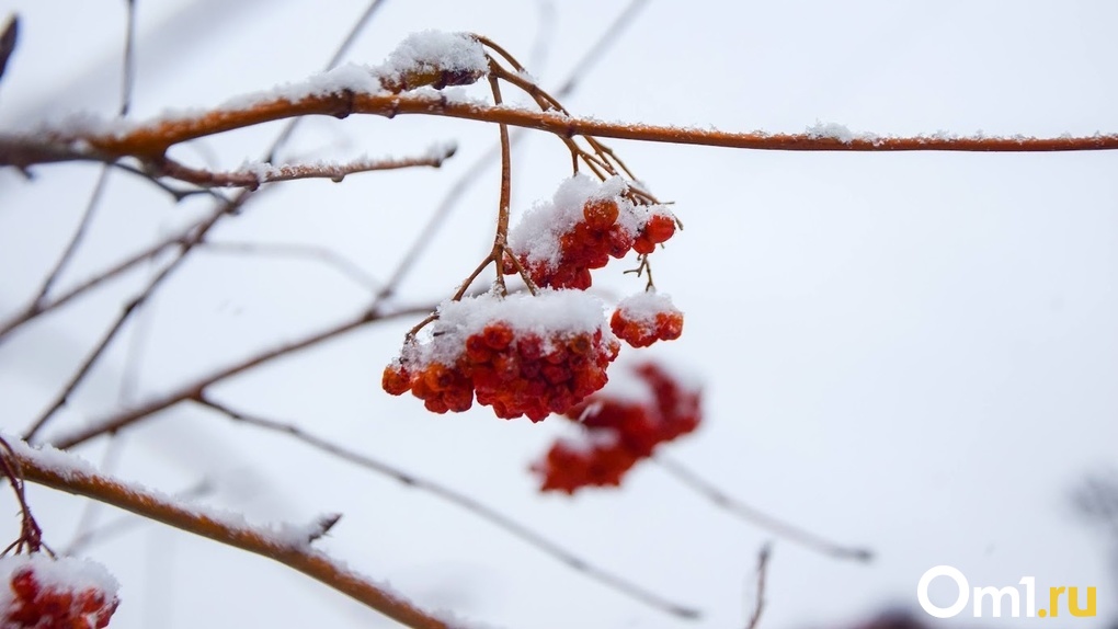 Достаём зимнюю одежду: резкое похолодание до -12 градусов ожидает жителей Новосибирской области
