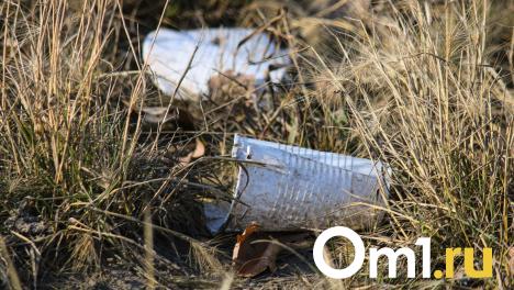 В Нижегородской области обнаружили дефицит дворников