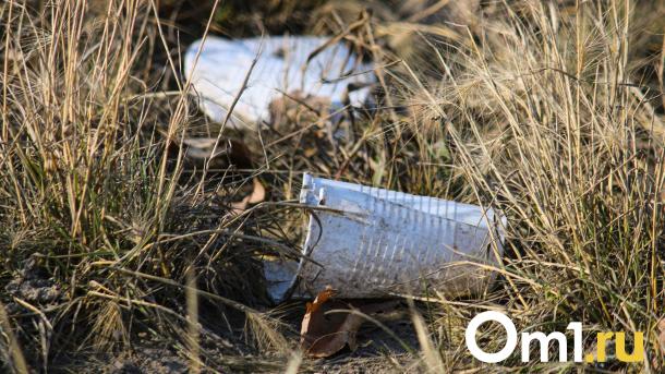 В Нижегородской области обнаружили дефицит дворников