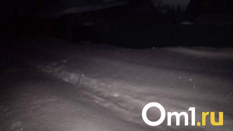 В Омской области нашли тело мужчины, пропавшего больше месяца назад
