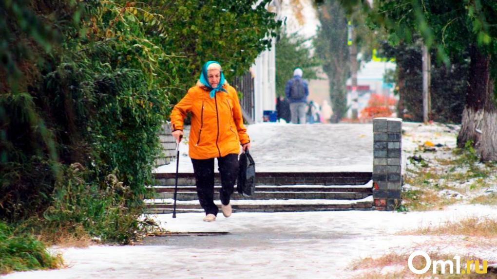 Холодный ветер с дождём: к Омску приближается осенняя непогода с мокрым снегом