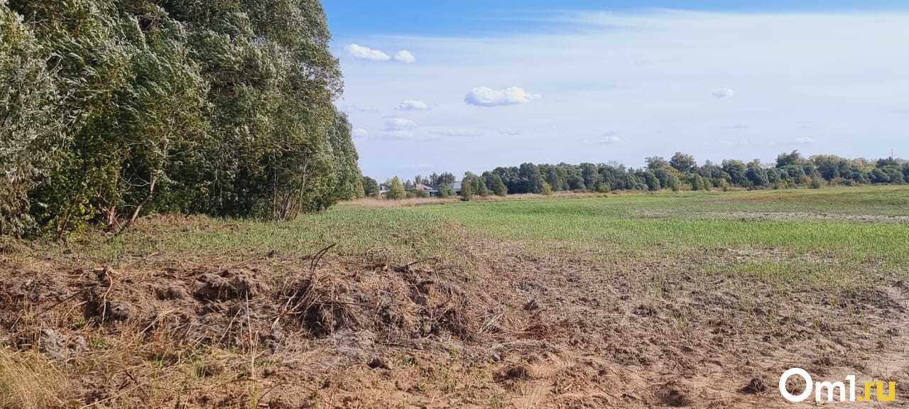 Половинное новосибирская область. Село грязь. Село грязь Московская область.