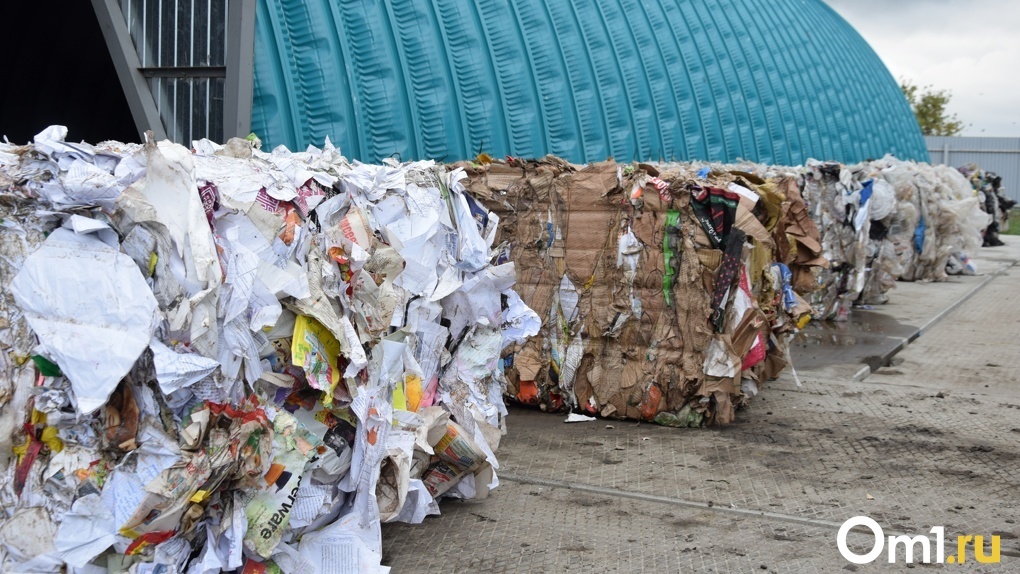 Мэрия Новосибирска согласовала автопробег против строительства мусорного полигона возле Раздольного