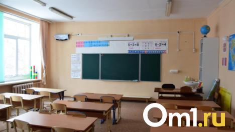 «Бегают мыши, а дети их ловят»: омичи пожаловались на состояние школы в Октябрьском округе