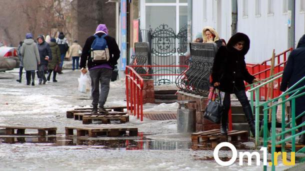 Традиции и приметы 14 ноября: как правильно встретить зиму