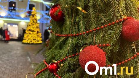 На Новый год омичей оставят без алкоголя: список мест, где спиртное под запретом