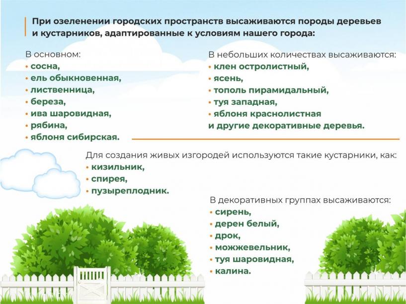 Изображение фоторепортажа