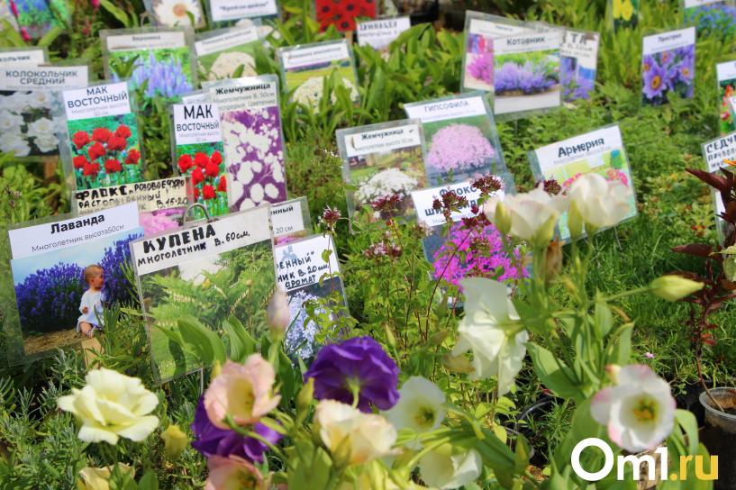 Изображение фоторепортажа