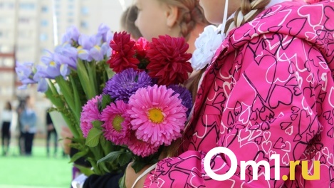 Стало известно, сколько заявлений на приём первоклассников получили омские школы