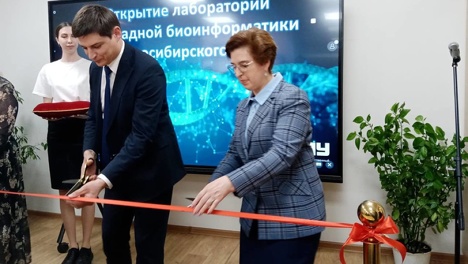 Цифровая трансформация пришла в сферу селекции и осеменения племенных животных Новосибирской области