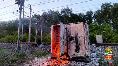 Молодой омич осуждён на 16 лет за диверсию и госизмену