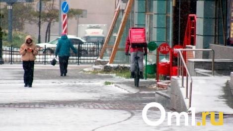 К Омску приближаются мощный снегопад и резкое похолодание