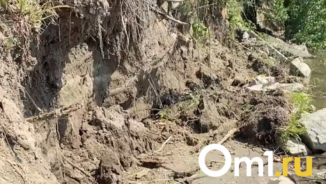 Дома новосибирских дачников могут пойти под снос из-за укрепления берега Оби