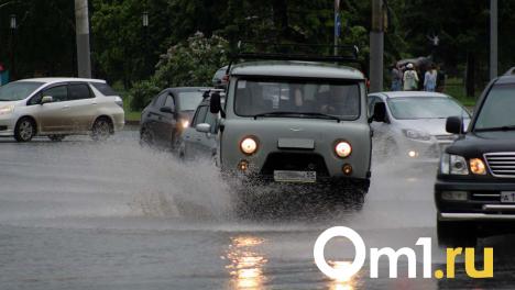Количество осадков в Омске превысило норму в 9 раз, грунтовые воды поднимаются