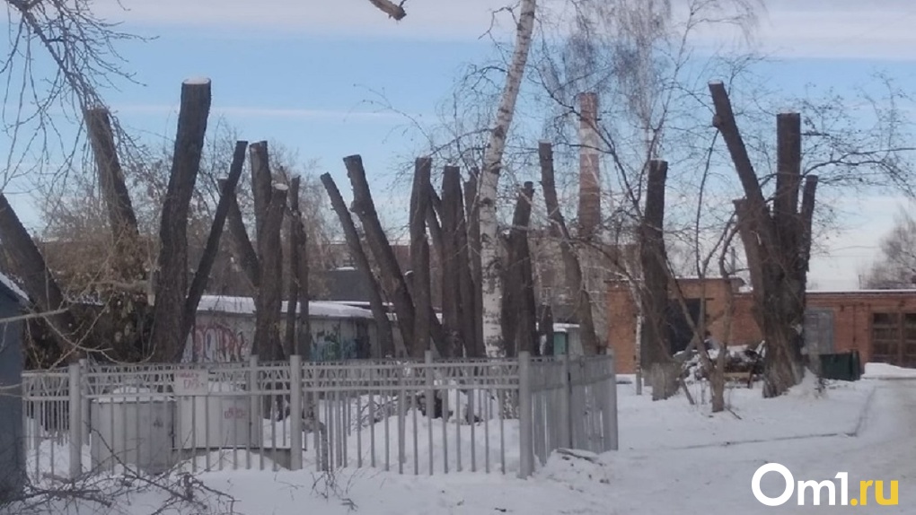 В Омске за Цирком кронировали несколько деревьев, но не убрали сломанное