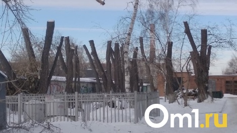 В Омске за Цирком кронировали несколько деревьев, но не убрали сломанное