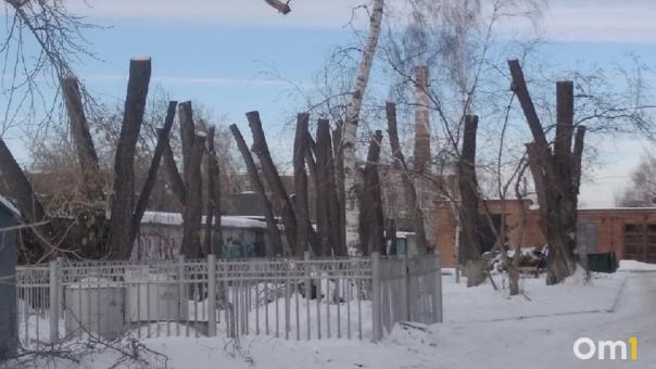 В Омске за Цирком кронировали несколько деревьев, но не убрали сломанное