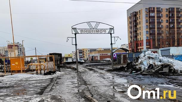 Миллионные долги и колоссальная безучастность. Глава омского СНТ, заподозренный в хищениях, – о ситуации
