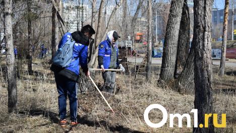 Городской субботник в Омске пройдёт 20 апреля