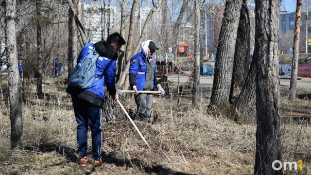 Городской субботник в Омске пройдёт 20 апреля