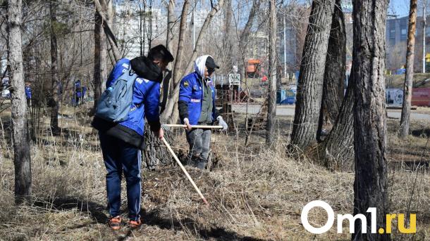 Городской субботник в Омске пройдёт 20 апреля