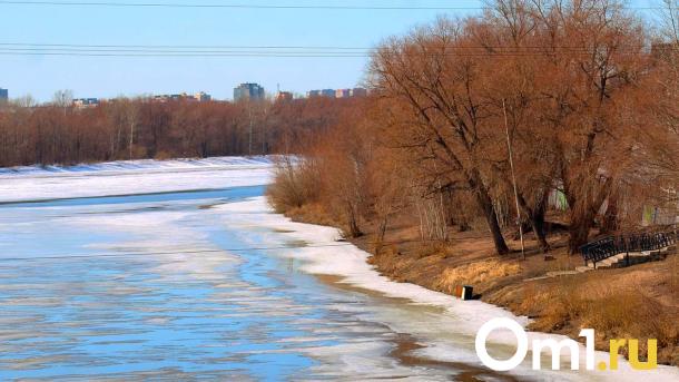 В омских водоёмах нашли десятки вредных веществ, включая фенол и азот