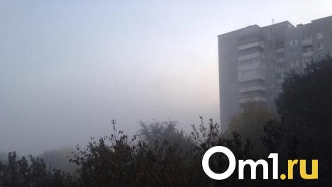 Объявлен на 11 часов: в Омской области действует режим НМУ первой степени опасности