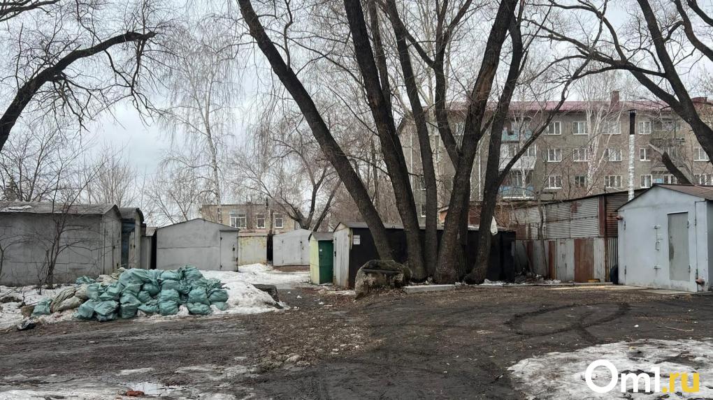 В Омске нашли человека, который выбросил у контейнеров трупы собак и кошек