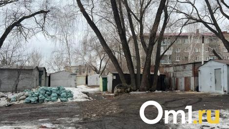 В Омске нашли человека, который выбросил у контейнеров трупы собак и кошек