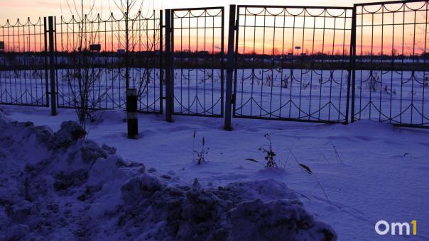 Омич незаконно оформил на себя более 200 га земли