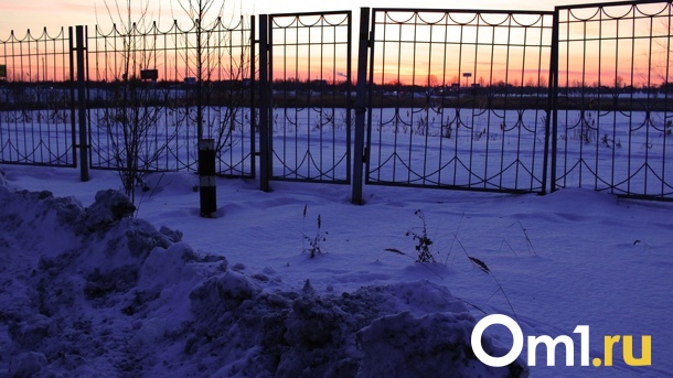 Омич незаконно оформил на себя более 200 га земли
