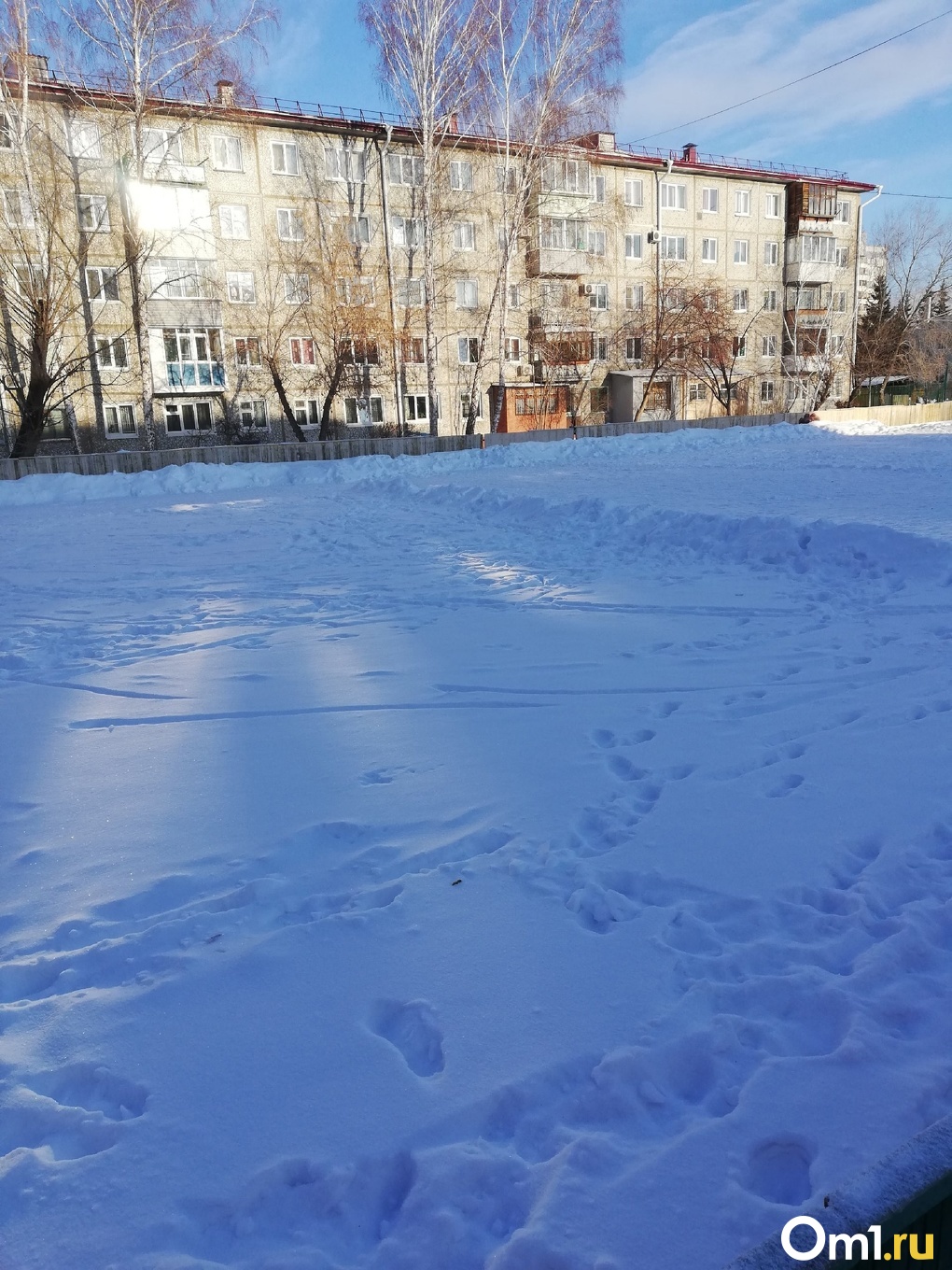 Всему виной снег: омичи жалуются, что их детей лишили хоккейной коробки -  Новости Омска - om1.ru