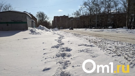 Одет в тёмный пуховик. В Омске потерялся восьмилетний мальчик
