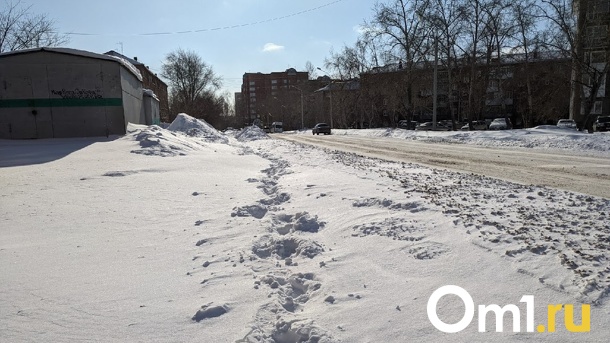 Одет в тёмный пуховик. В Омске потерялся восьмилетний мальчик